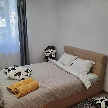 Apartament Old Town Boheme Timișoara