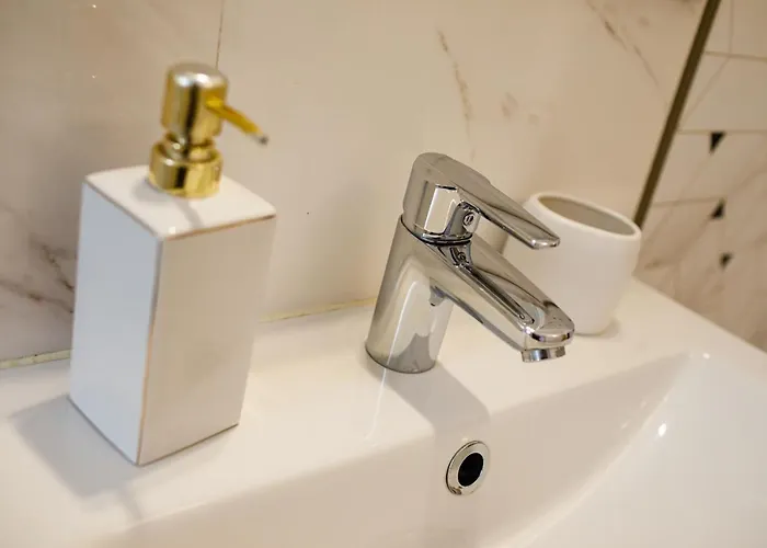 Apartment Old Town Boheme Timisoara