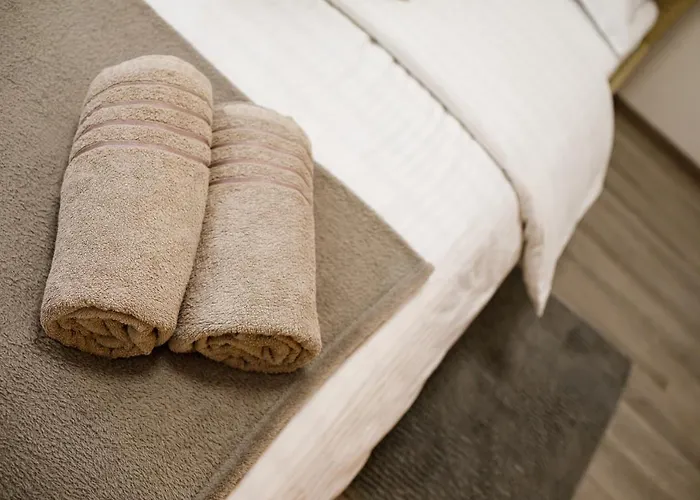 Old Town Boheme Apartment Timisoara