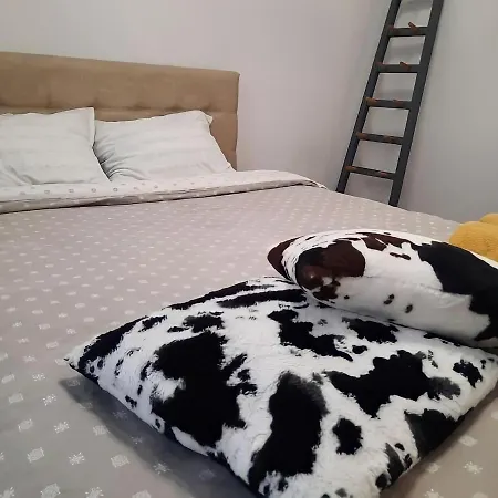 Old Town Boheme Daire Temeşvar