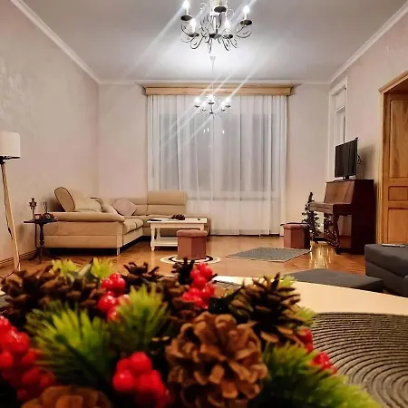 Old Town Boheme * Temeşvar