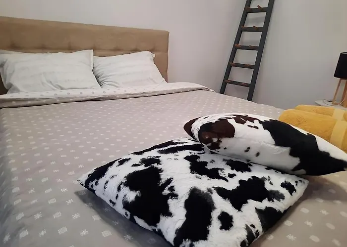 Old Town Boheme Apartamento Timişoara